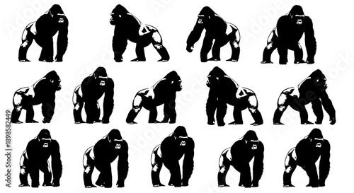 Collection of silhouetted gorillas in various poses and actions