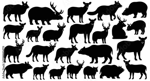 Collection of diverse wildlife animal silhouettes in black and white