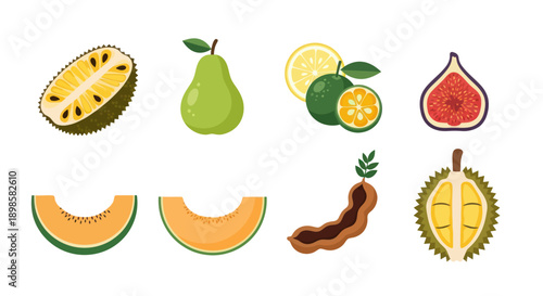 Variety of fresh colorful fruit illustrations