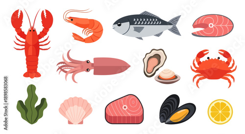 Variety of seafood illustrations on white