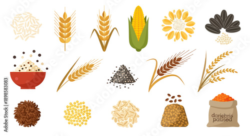Various cereal grains and seeds illustration