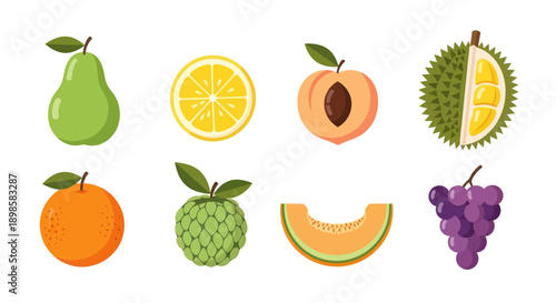 Various colorful fruit illustrations on white