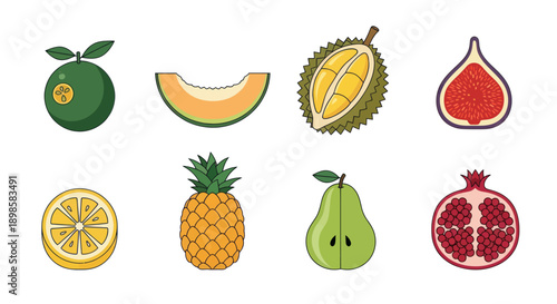 Various colorful fruit illustrations