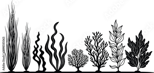 Underwater seaweed and coral silhouettes collection, marine plants and algae forms, black vector illustration set isolated on white background for ocean design use
