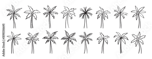 palm tree doodle hand drawn icon set. Outline drawing palm tree line clipart symbol collection