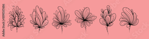 Delicate hand drawn line art illustrations of various feathers in a row