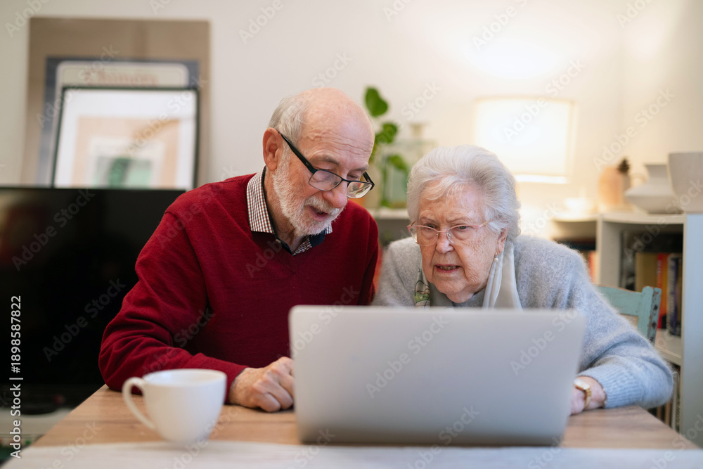 Fototapeta premium Loving elderly couple makingn online reservation, using laptop.