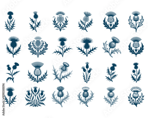 Scottish Thistle SVG Bundle