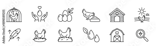 Set of poultry farming line icons featuring chickens, eggs, a barn, and a coop, representing concepts of organic production, free-range living, and animal welfare in a minimal style
