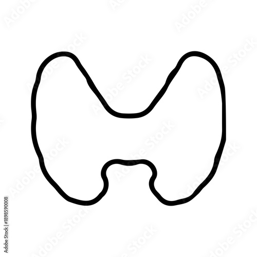Thyroid gland outline icon
