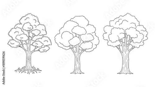 Set of three different deciduous trees with lush canopies shown in a detailed black and white line art style for coloring or design work.