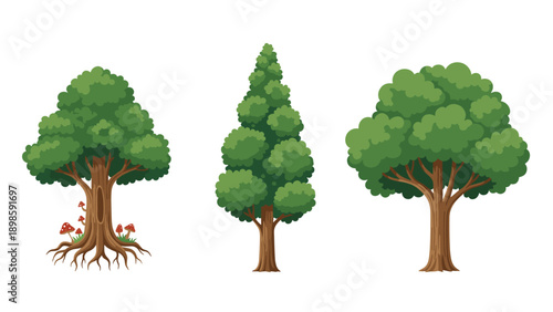 Diverse selection of three mature trees with full green canopies is shown side by side, including a deciduous tree with mushrooms at its base.