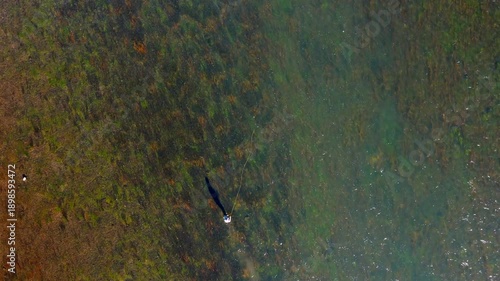 Aerial view of a fly fisherman fishing for trout in autumn in Idaho on the Henry's Fork River.