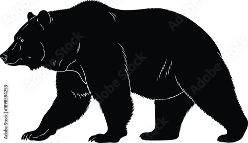 Black bear silhouette illustration, detailed wildlife animal design showing walking pose, perfect for nature graphics, outdoor themes, forest artwork, and logos