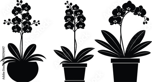 Orchid flower pot silhouette set vector illustration, elegant houseplant collection, black floral design, indoor gardening decor, isolated on white background