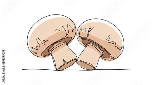 Two button mushrooms are depicted in a minimalist single line drawing style with subtle tan color washes on white background.