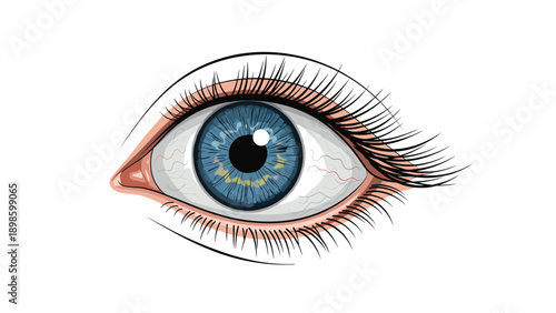 Detailed illustration of a blue human eye with long black eyelashes and subtle red veins visible on the white sclera surface.