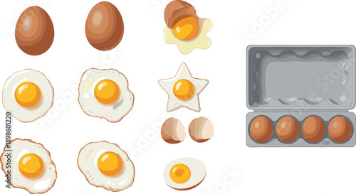 Egg vector illustration set, raw and fried eggs, cracked shell, yolk shapes, breakfast food icons isolated on white background designv