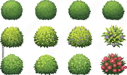 Garden bushes vector illustration set, green shrubs and flowering plants, landscape elements collection isolated on white background design art graphics