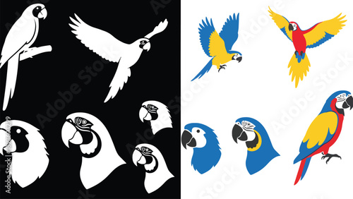 A colorful illustration of parrots and macaws in various poses and colors