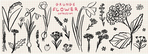 Grunge minimal charcoal or chalk spring summer flower collection. Vector illustration of ink hand drawn wild and garden herbs set. Wax crayon drawings. Floral silhouette elements for scrapbooking.