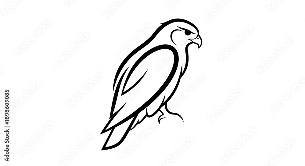 Obraz premium Adobe Illustrator Artwork