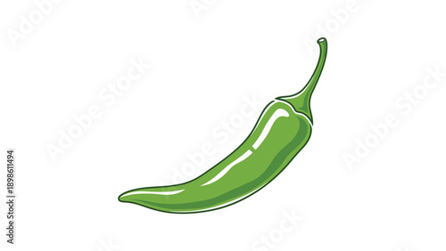 Single green chili pepper illustration with highlights and shading, representing hot spicy food and fresh ingredients.