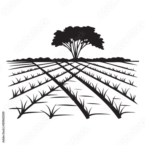 Agricultural Field with Lone Tree Silhouette