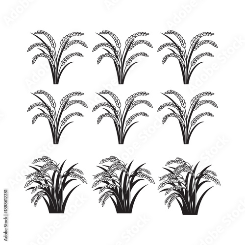 Stylized Black and White Rice or Wheat Plant Icons