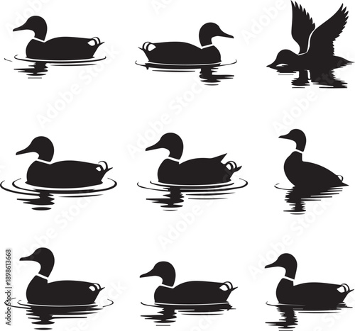 Set of eight duck silhouettes in water with ripples showing diverse postures and natural behaviors
