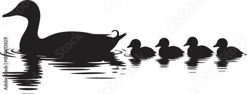 Silhouette of duck leading four ducklings swimming with ripples symbolizing family and guidance