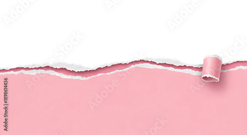 Torn pink paper background with white ripped edge