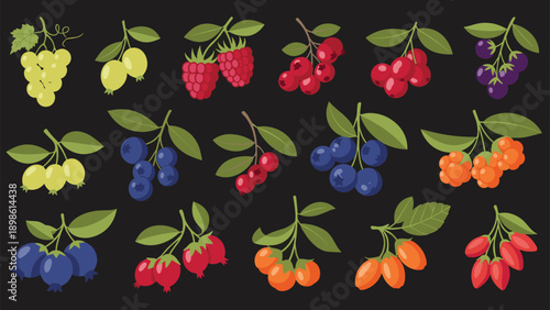 Large set of colorful berry branches including raspberries, blueberries, grapes, and more on a dark background.