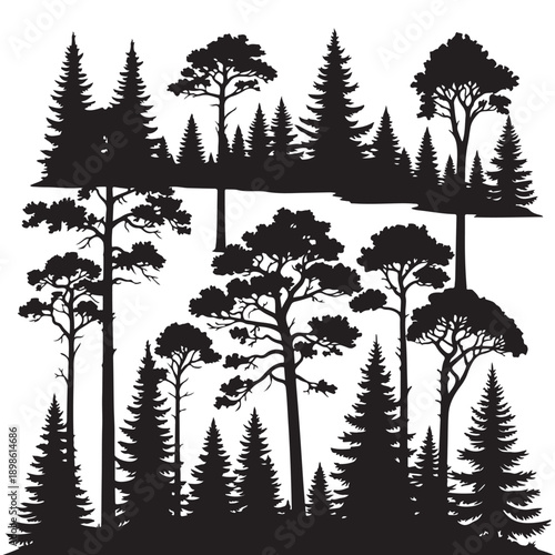 Black Forest Trees Silhouette on White Background