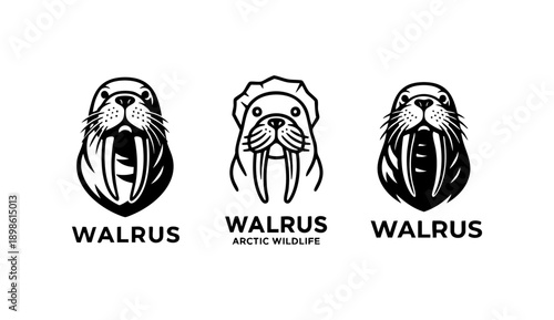 Walrus head mascot logo illustration