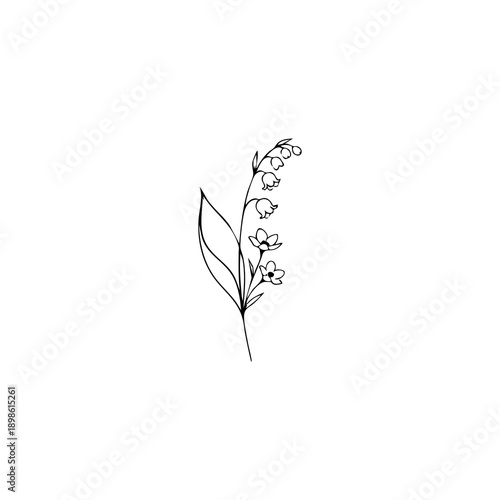 elegant lily of the valley line drawing