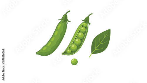 Fresh organic green pea pods, one open showing several round peas and a single leaf, isolated on a white background.