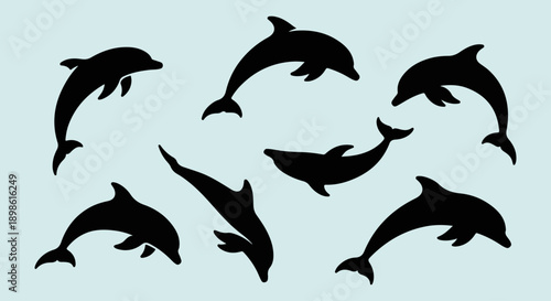 Black silhouettes of leaping dolphins create a playful aquatic scene