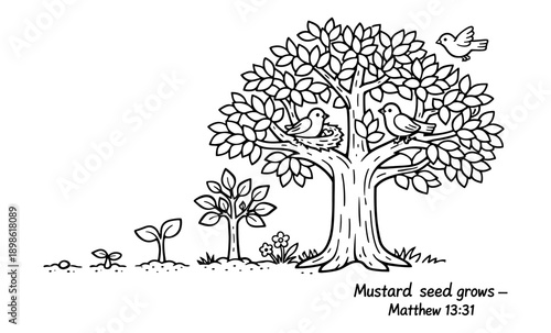 The growth of a mustard seed into a large tree with birds nesting and flying