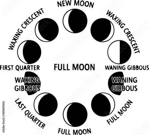 Educational diagram of the moon phases from new moon to full moon with text labels