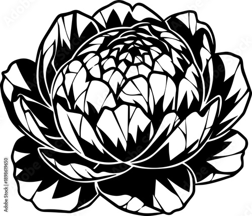 Stylized black and white artichoke flower illustration, intricate floral line art for botanical design