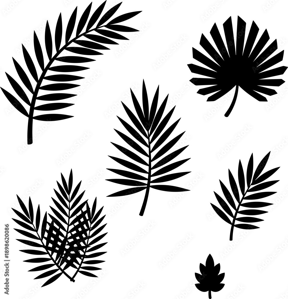 Naklejka premium Minimalist Black Palm Leaf Silhouettes Vector Set: Exotic Tropical Foliage Elements for Summer Design, Jungle Backgrounds, Hawaiian Invitations, and Botanical Decorations