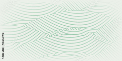farm green banner, organic abstract background with fields. wavy green lines, natural organic products. ecology background. striped farmer green Pattern