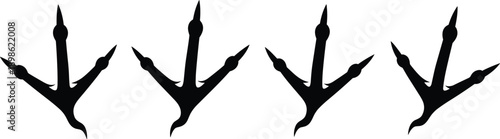 Vector set of black silhouette bird footprints and tracks. Chicken or fowl paw prints with three forward-pointing toes and one backward for ground-dwelling animal illustration on white.