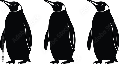 Three penguin silhouettes standing together black and white animal illustration minimalist wildlife design isolated on white background vector style graphic art
