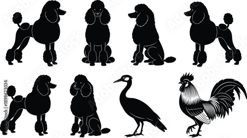 Black Silhouette Set of Poodle Dogs in Various Poses, Crane Bird and Rooster Chicken Icons, Animal Vector Illustration, Farm Animals