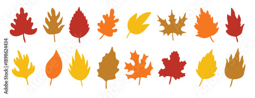 silhouette autumn leaves, yellow, orange and red herbal elements. fall simple leaves. silhouettes of autumn botanical flat isolated leaves