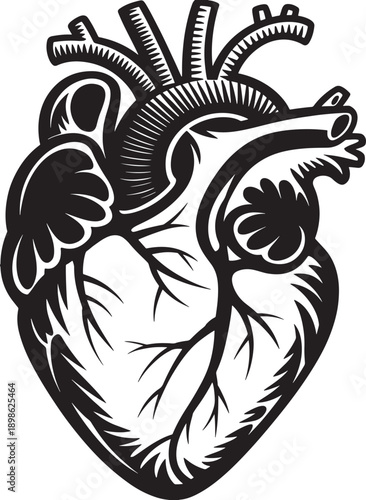 Stylized black and white anatomical heart with intricate branching veins and arteries