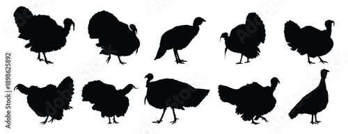 turkey silhouette set. turkey isolated farm animal silhouette icon vector collection