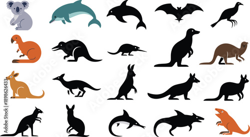 Set of Australian animal illustrations and black silhouettes featuring kangaroo, koala, dolphin, dingo, and platypus isolated on white background for design.